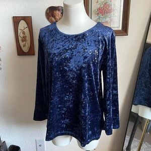 Vintage Whimsygoth Witchy Crushed Velvet Celestial Blouse